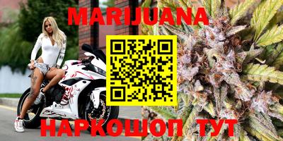 трава Сланцы